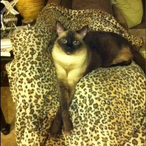 Meet your Posher, Claudia